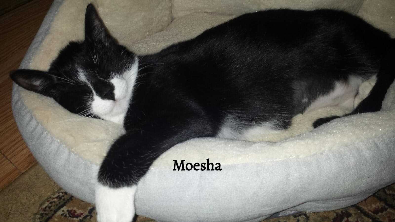 Moesha detail page