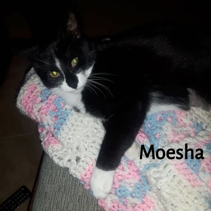 Moesha 6