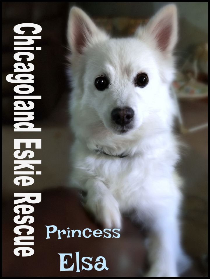 Princess Elsa 1