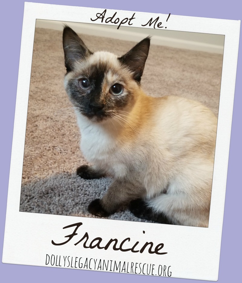 Francine detail page