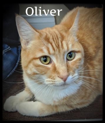 Oliver detail page