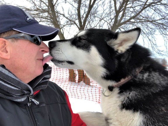 Stormy, an adoptable Husky Mix in Lake Odessa, MI