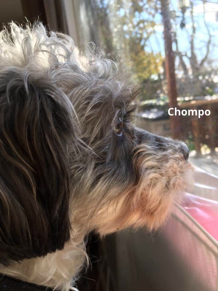 Chompo 3