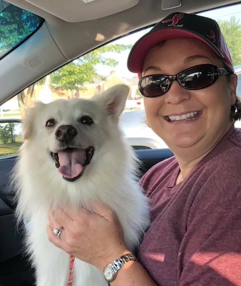 IZZY, an adoptable American Eskimo Dog in Maineville, OH, 45039 | Photo Image 2