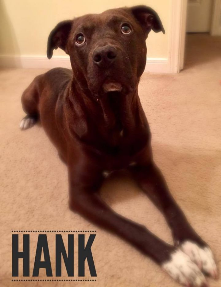 Hank 3