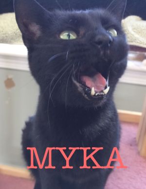 MYKA