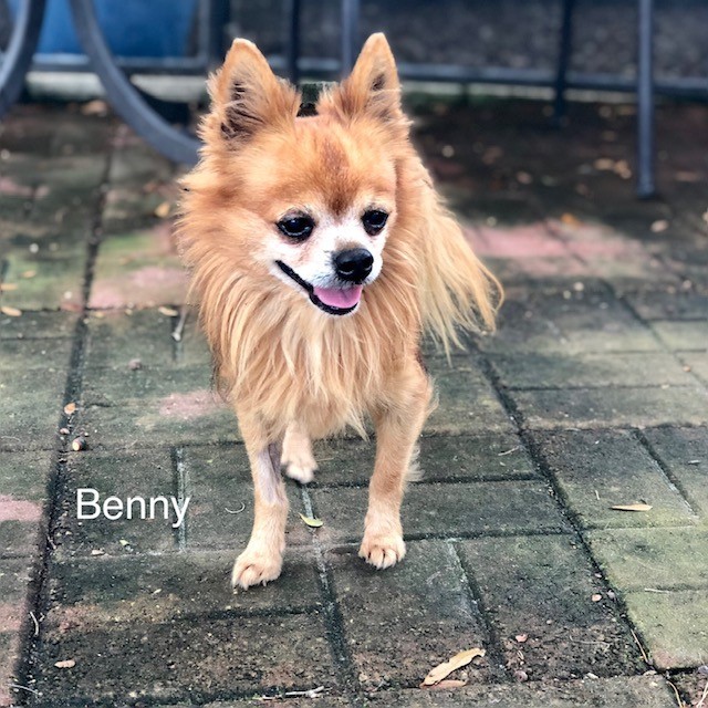 Benny 5