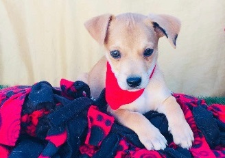 . Max .