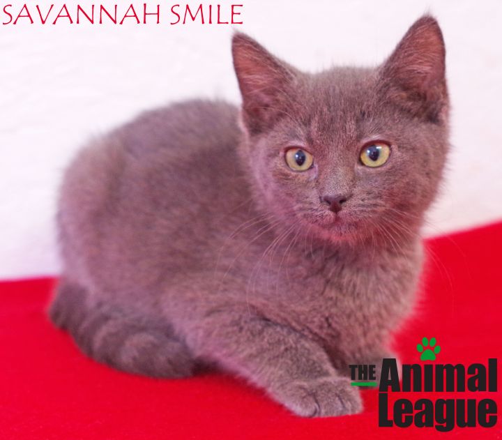 Savannah Smile 1
