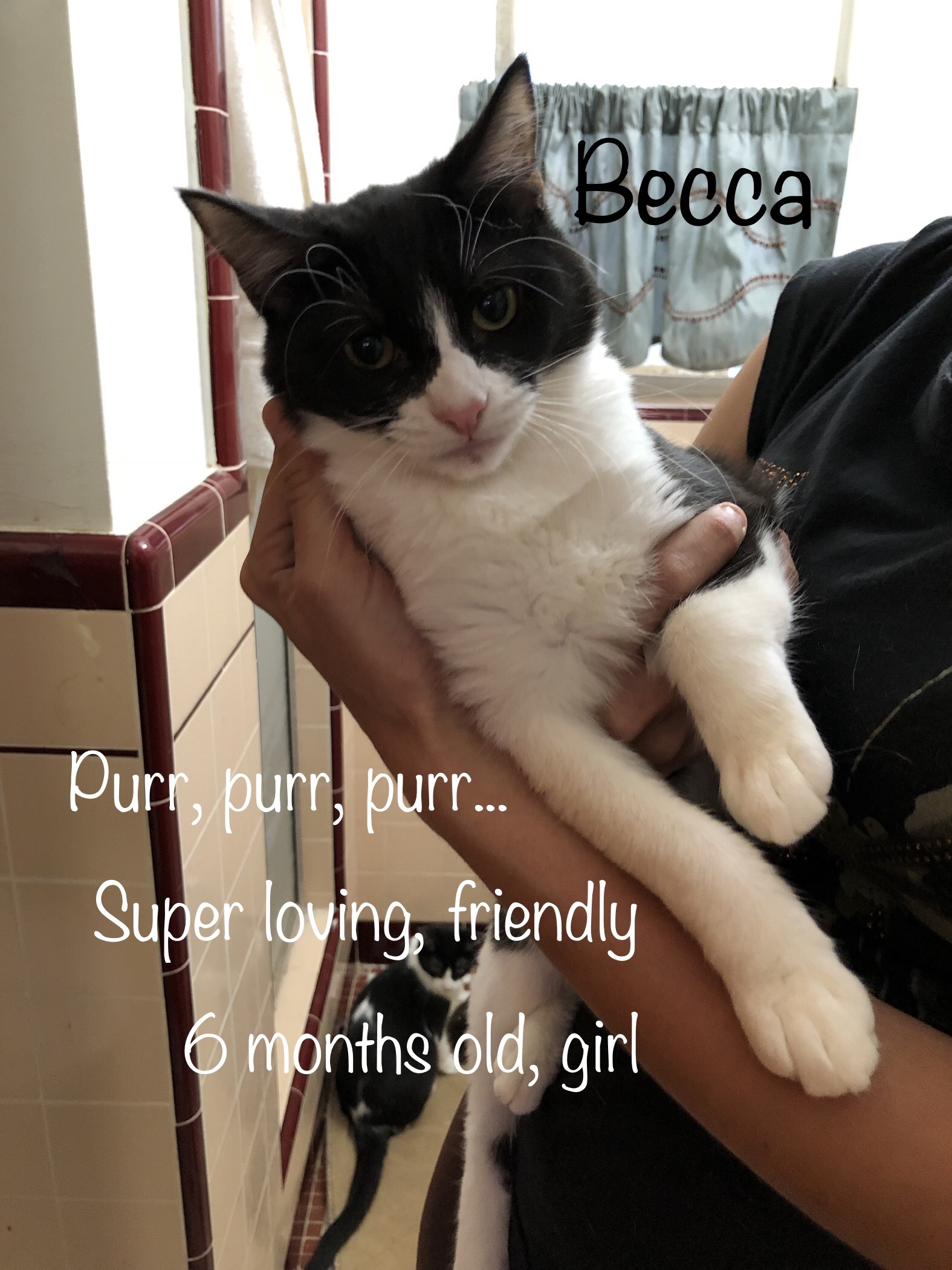 Becca detail page