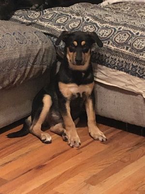 . Delilah .