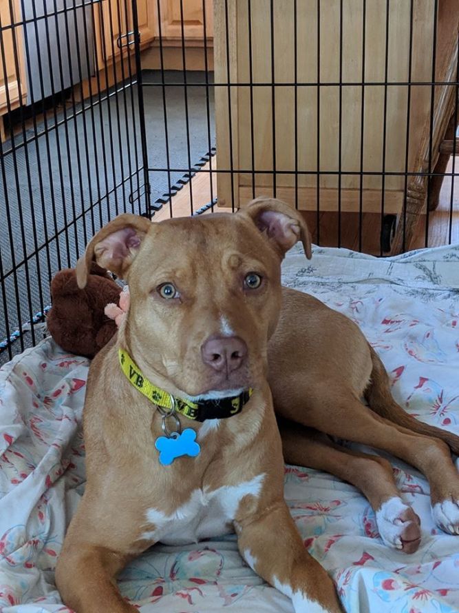 Penny
