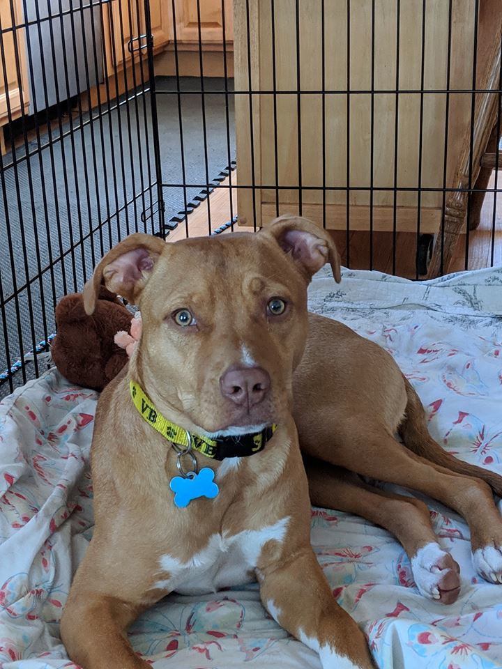 Penny 1