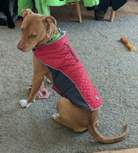 Penny 2