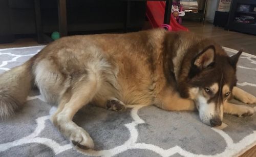 . Kai .