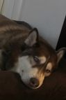 . Kai .