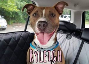 . Ryleigh .