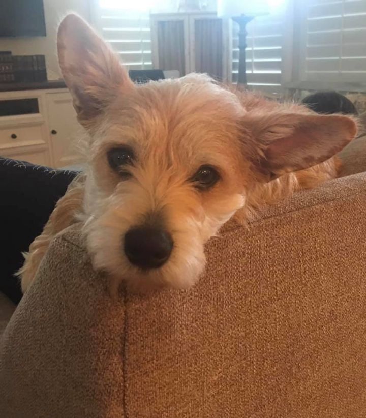 Frankie 2