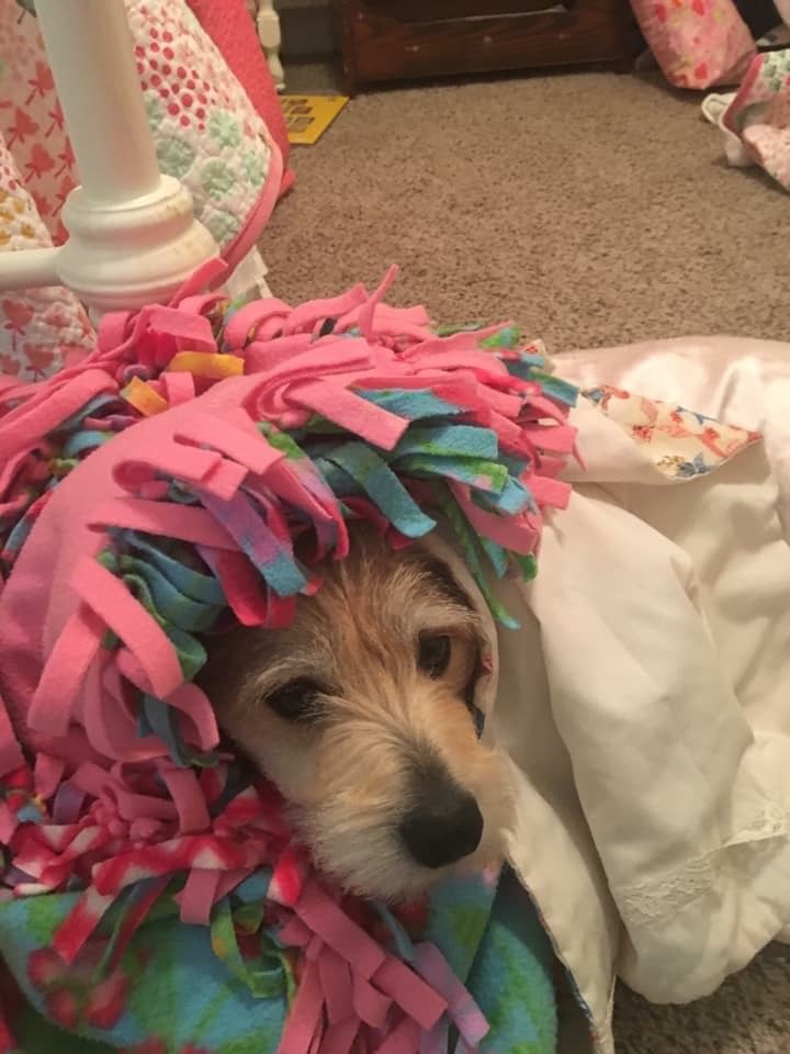 Frankie 3