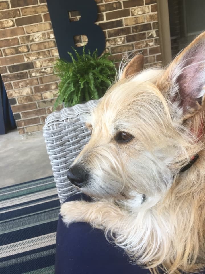 Frankie 6
