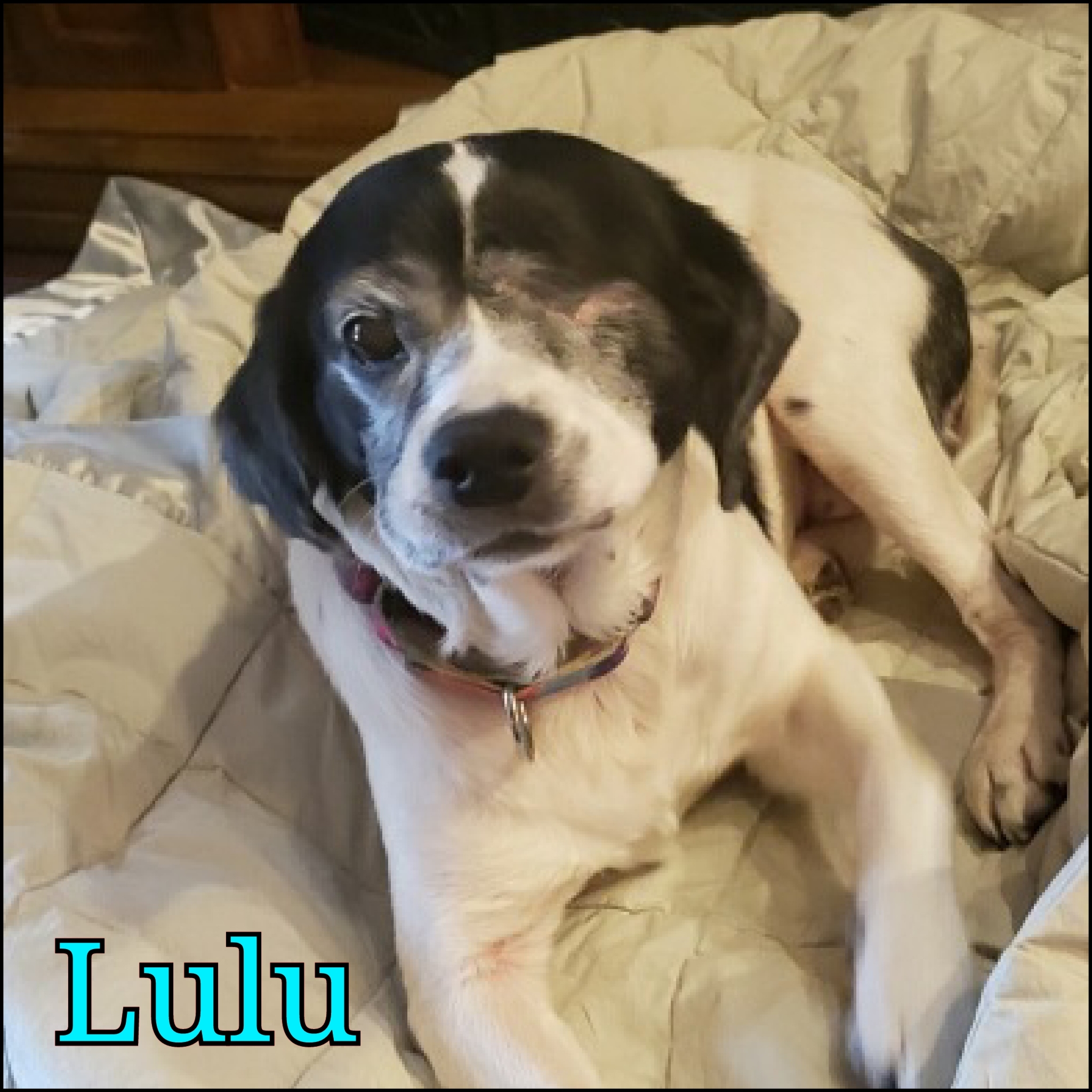 Lulu detail page