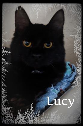 Lucy 1
