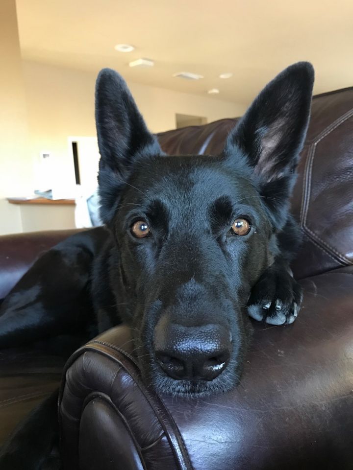 Kona 1
