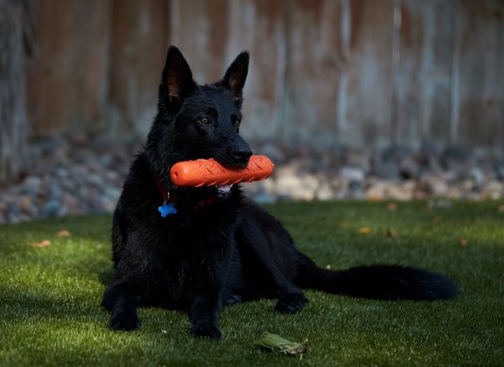 Kona 2