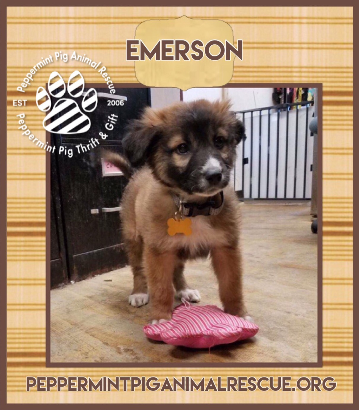 Emerson Adoption Pending detail page