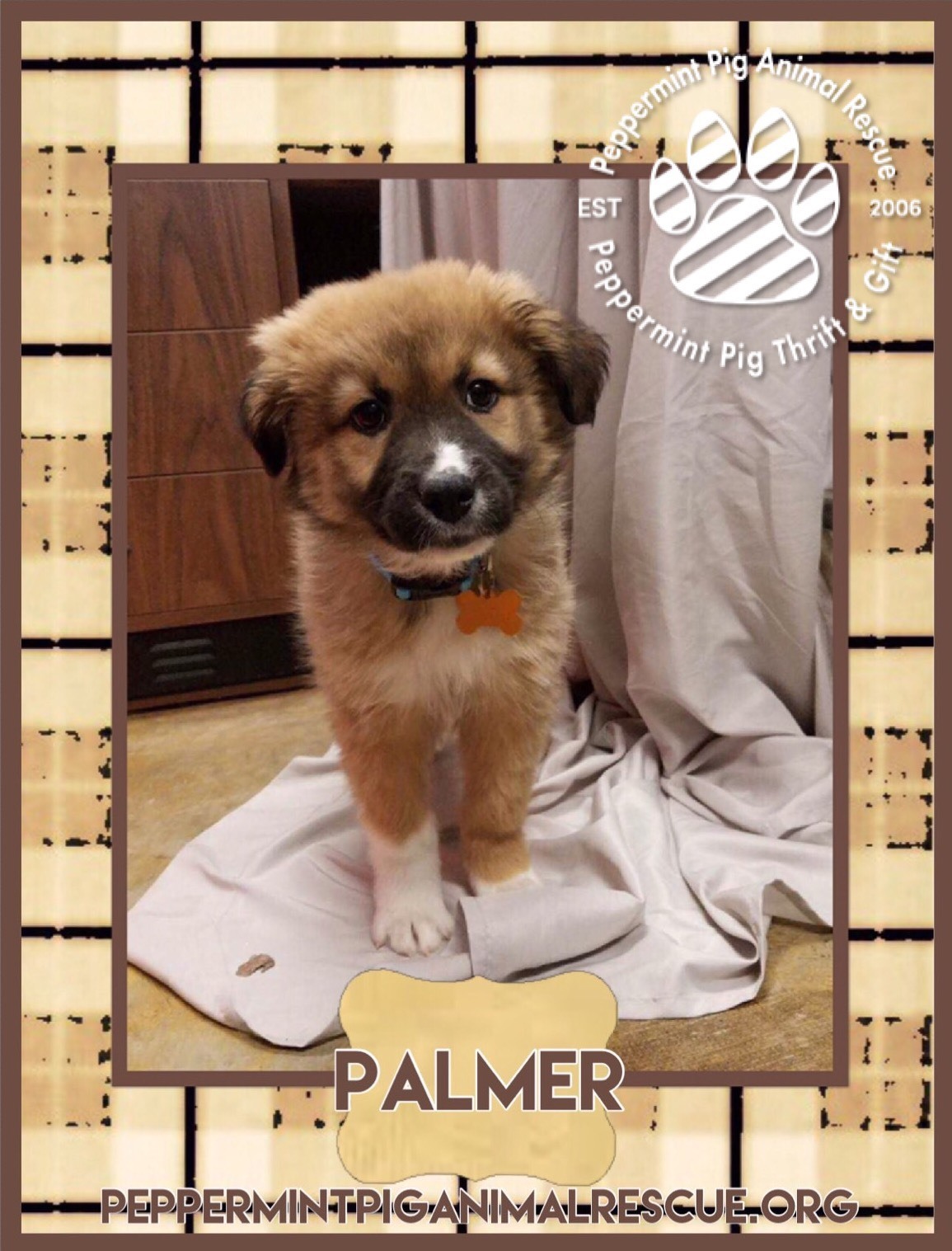 Palmer Adoption Pending detail page