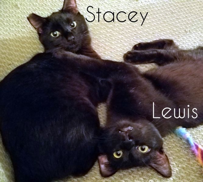 Lewis & Stacey