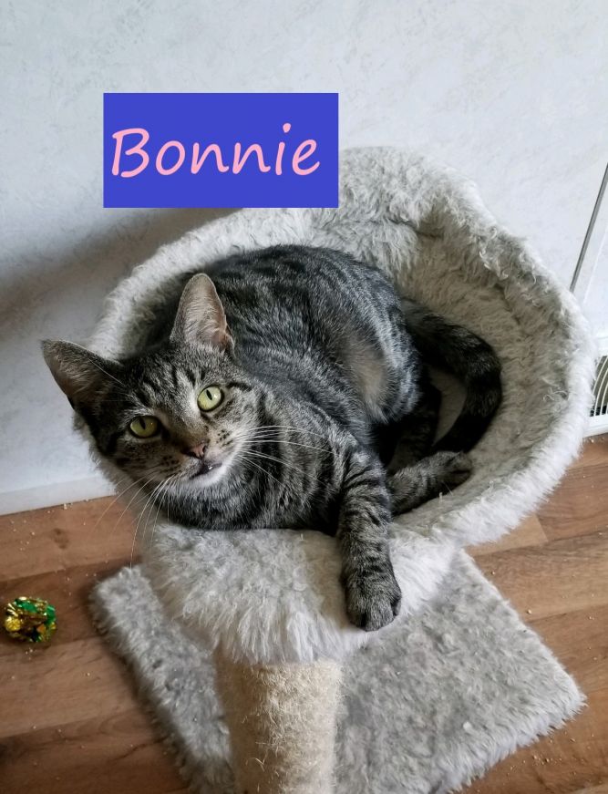 Bonnie (Lori's foster)