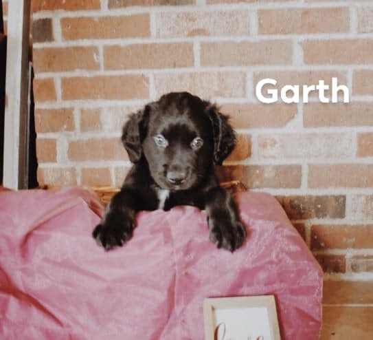 Garth detail page