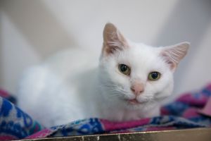 Wynter, Senior Female unknown
