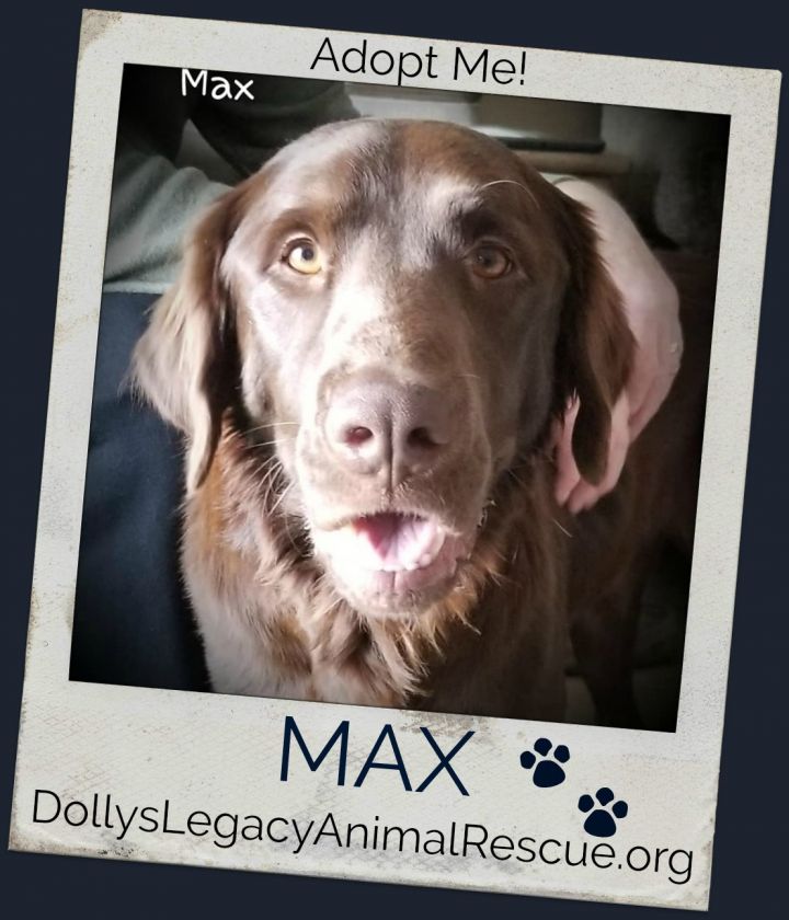 MAX 1