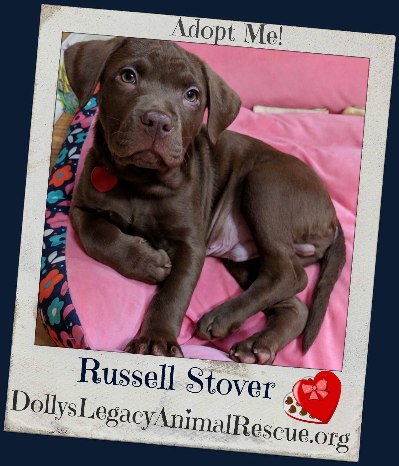 Russell Stover detail page