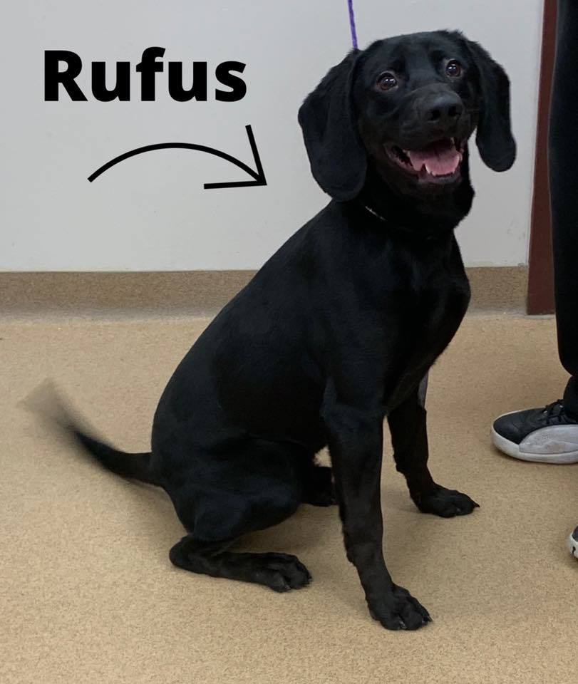 Rufus detail page