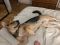 . FOSTER OR ADOPTER: Sam .