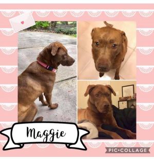 Maggie