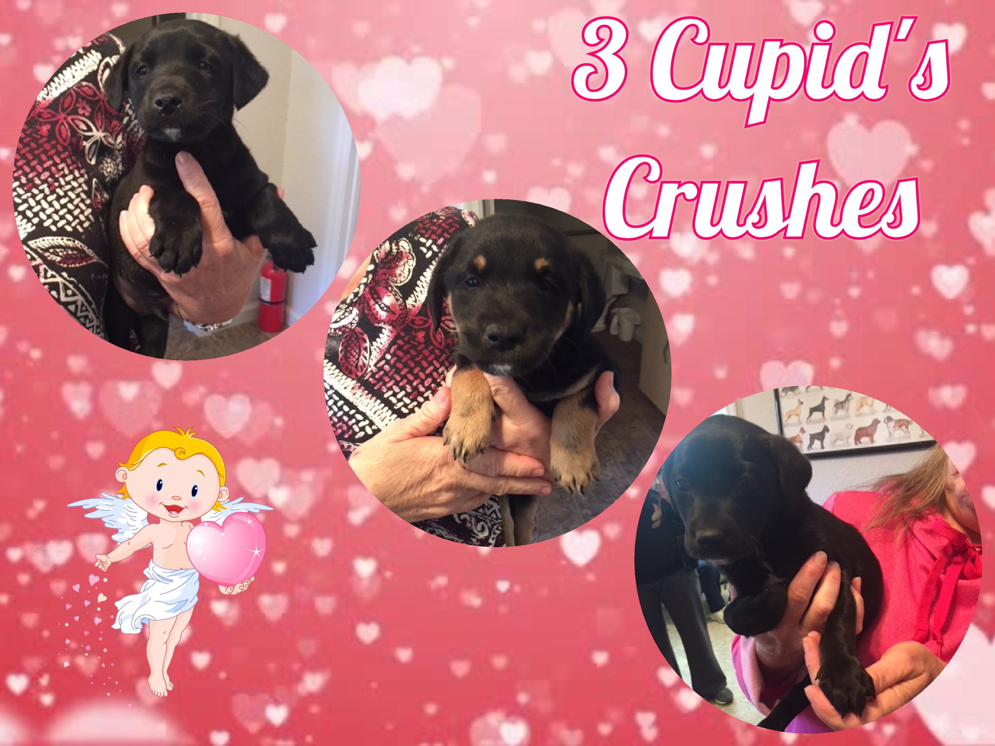 3 Cupid Crushes detail page