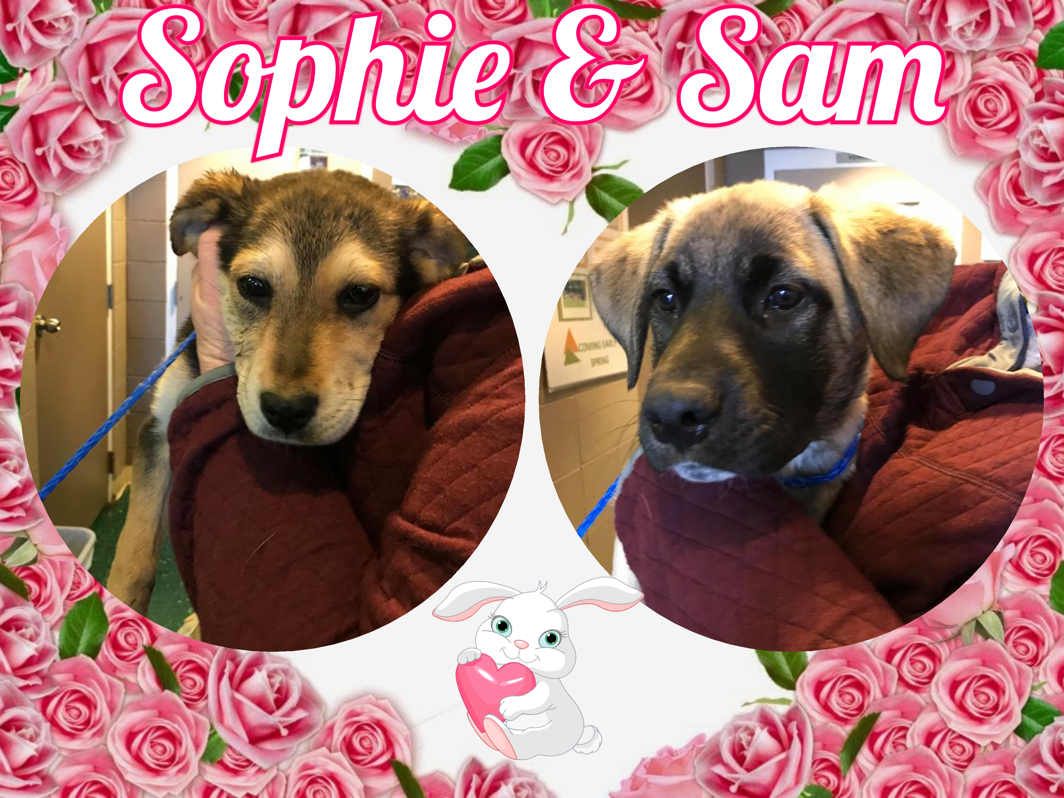 Sam And Sophie detail page