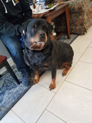 . Nala .