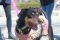 . Jenner Mini PR Sheppie Mix .