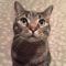 . Jinxy .
