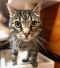 . Jinxy .