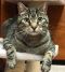 . Jinxy .