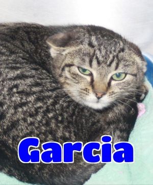 Garcia -sponsored