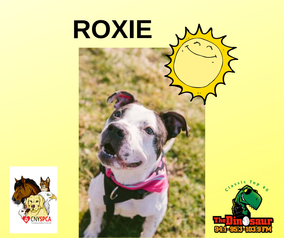 Roxie detail page