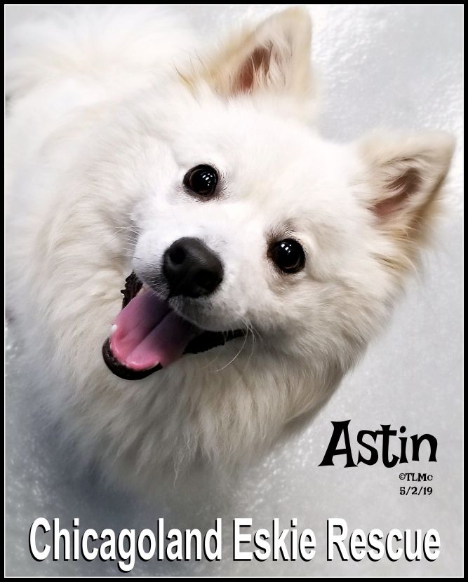 Astin