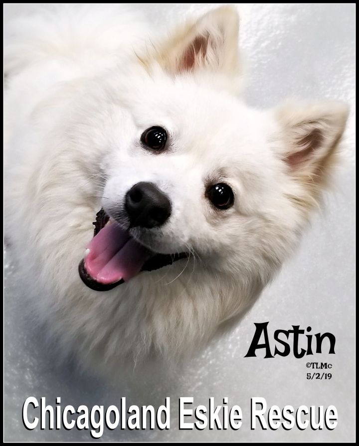 Astin 1